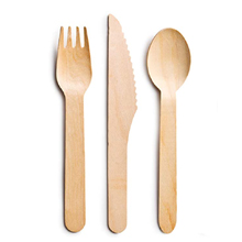 plestizon packaging cutlery