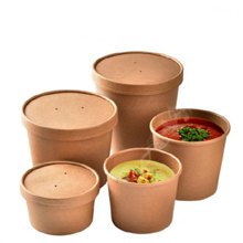 plestizon packaging kraft containers